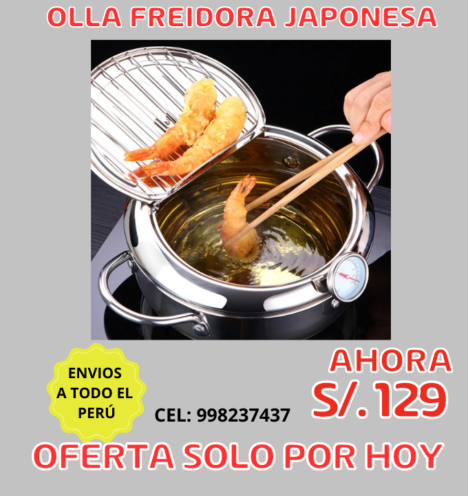 🥇 Olla Freidora Japonesa Premium