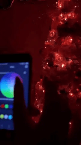 LUCES LED NAVIDEÑAS  INTELIGENTES